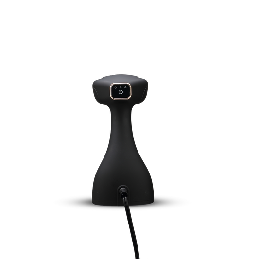 Powerful Handheld Steamer
